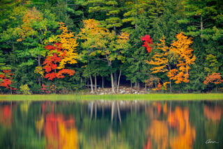 Autumn tree colors reflecting in a still lake.