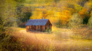 Cabin in the autumn woods