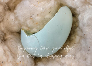 A close up photo of an opened bird egg and a quote about beginning.
