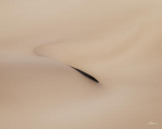 Sand dune in Death Valley with a subtle curve and shadow 