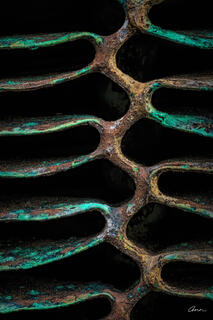 Close-up of rusted radiator pattern that looks like branches on a vine.