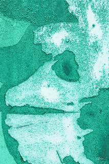 A close-up of peeling paint and green grunge appears to be a monkey's face profile.