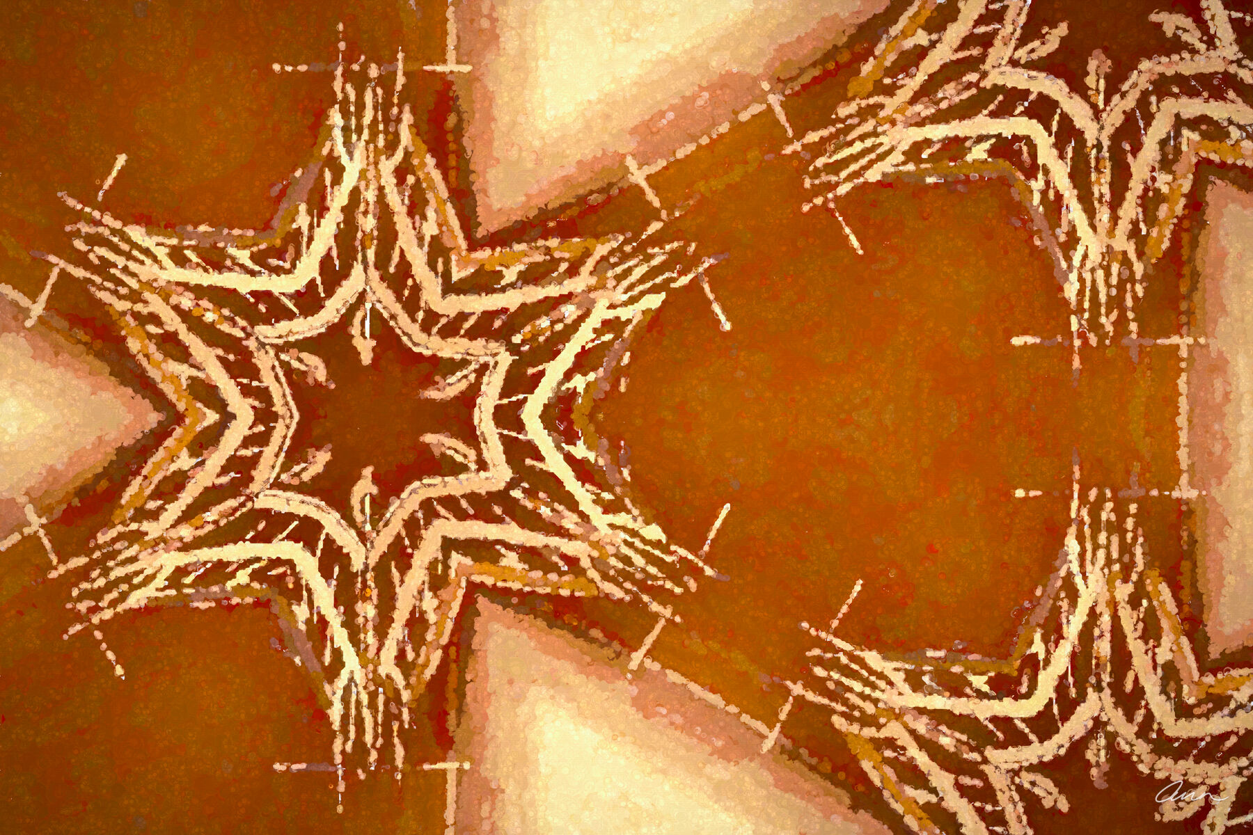 A star mandala of the sphinx moth