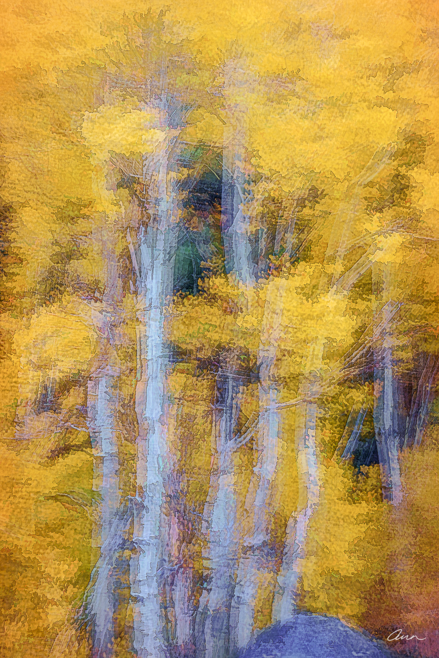 Abstract aspen grove that looks like the leaves are shaking.