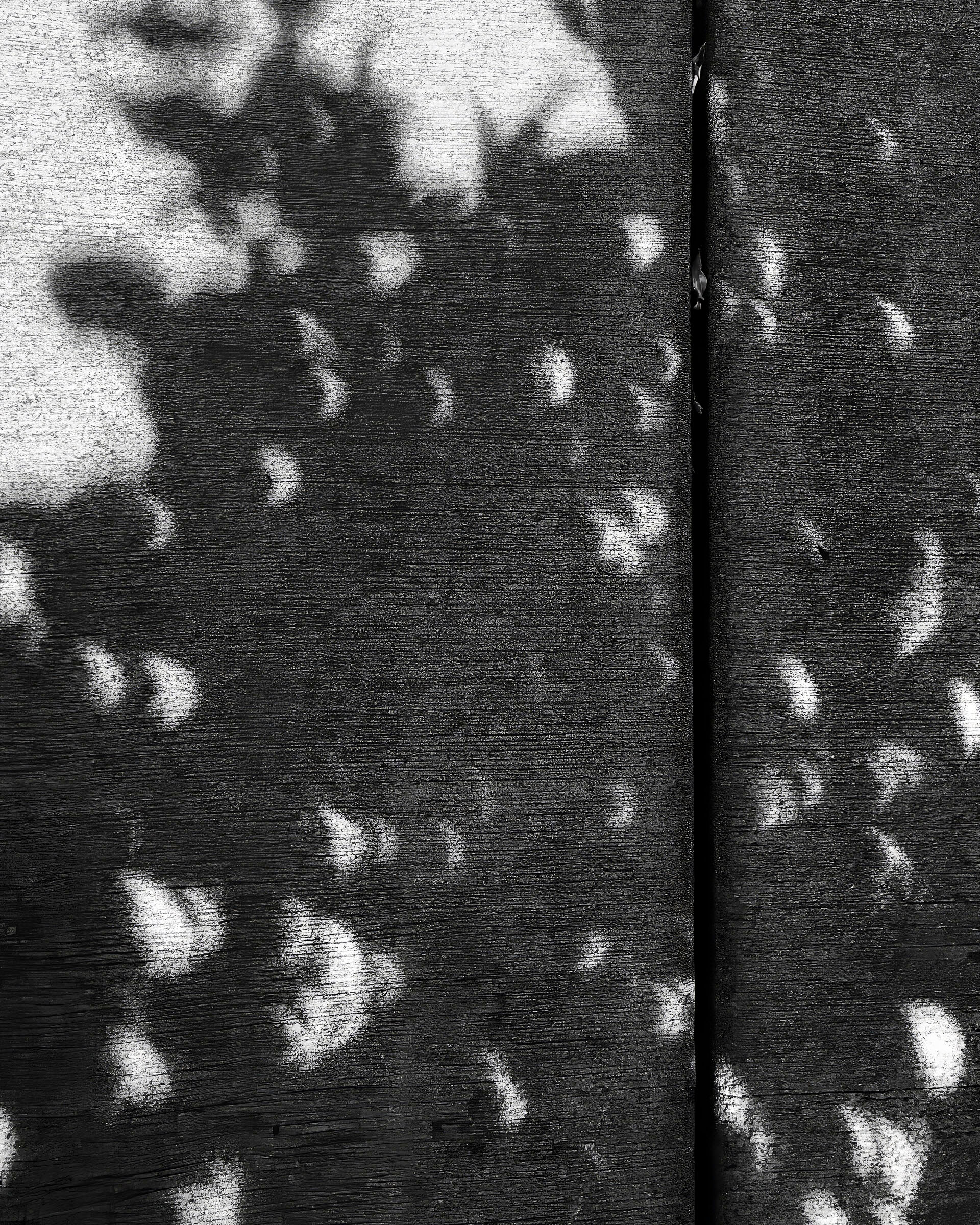 Solar eclipse crescent moon shadows through tree leaves