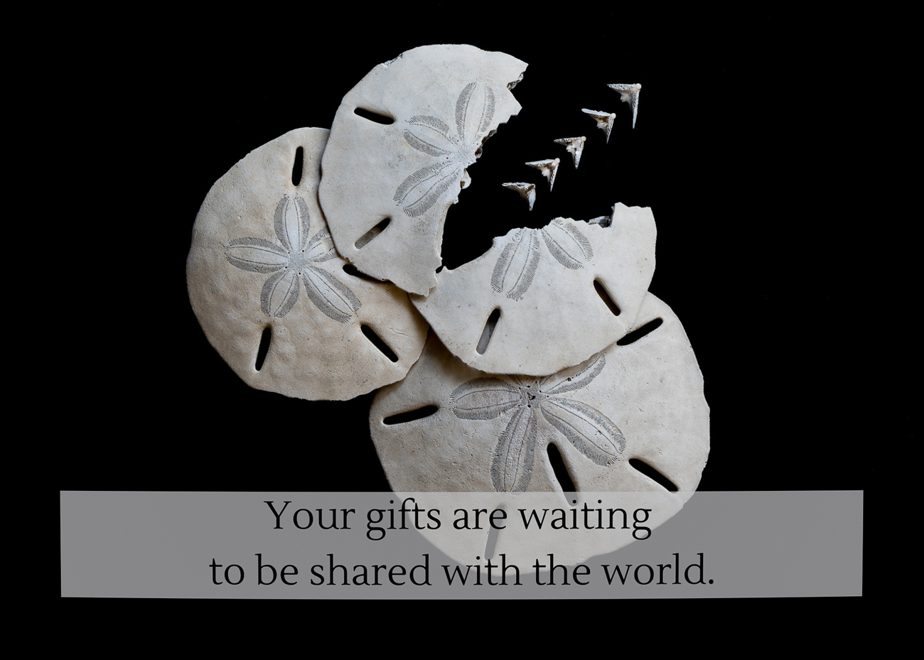 A photo of sand dollars and the doves released when broken as well as a quote about your inner gifts.